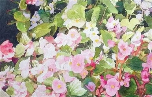 2026年05月26日动土黄历查询