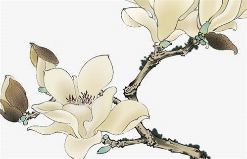 2027年04月27日动土黄历查询