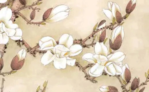 今天2027年06月05日开工老黄历适合吗,农历二〇二七年五月初一动土日子