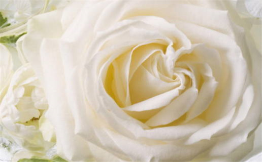 农历二〇二七年二月廿一黄历不推荐登记结婚吗,领证好日子查询