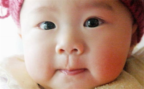 如何给2026年07月08日出生的杨姓女宝宝起个好名字？专业分析与建议