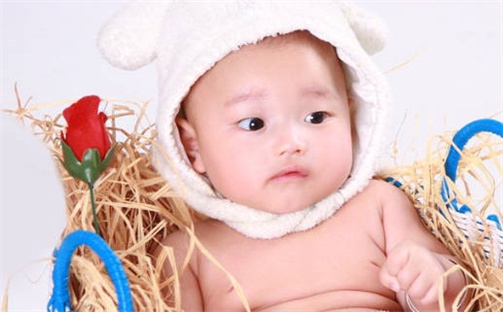 如何给高姓男孩起个书香气质的名字？5个优质名字详解