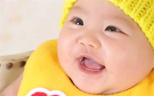 张姓男孩子取名