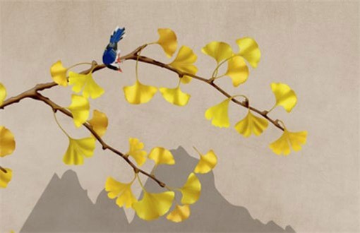 2027年05月05日不适宜家装吗,这天装修合适吗